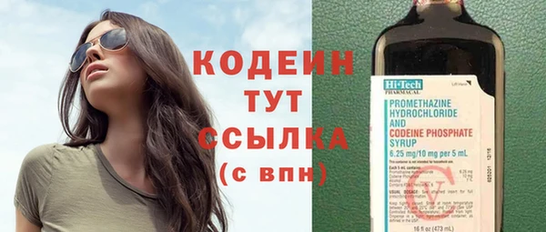 прущие грибы Кукмор