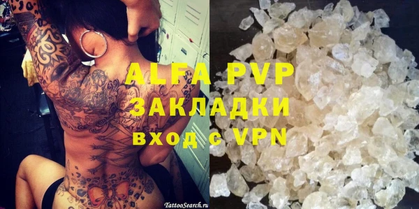 прущие грибы Кукмор