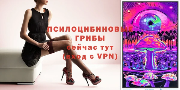 мдпв Осинники