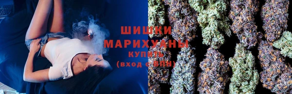прущие грибы Кукмор