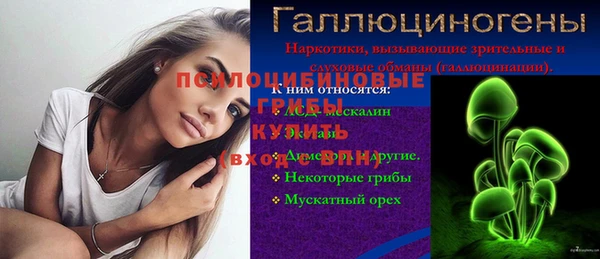 прущие грибы Кукмор