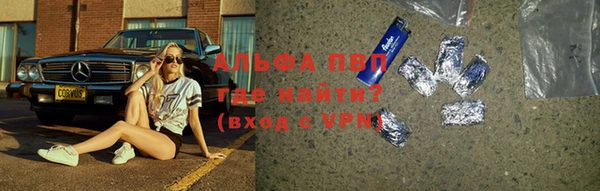 прущие грибы Кукмор